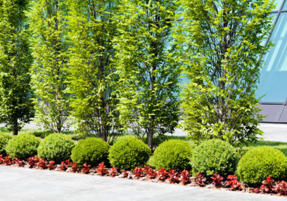 landscaping Darlinghurst