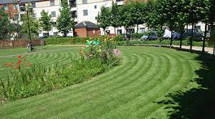 lawn mowing Forest Hill