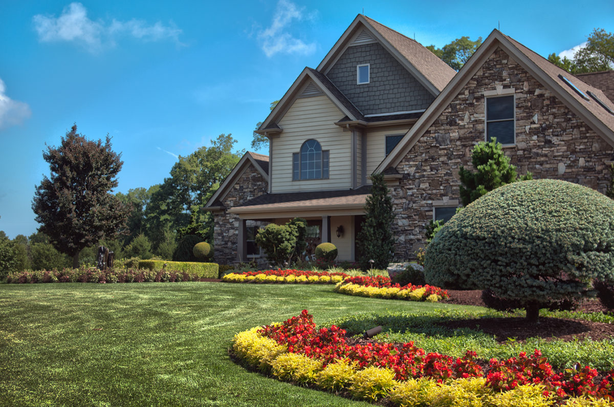 landscape design and construction