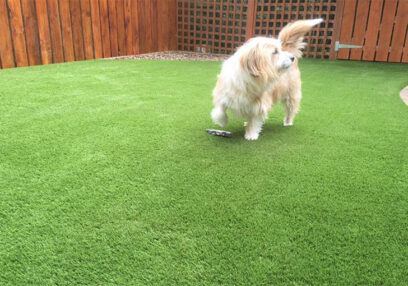 pet friendly artificial grass