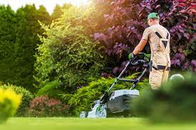 lawn mowing Croydon