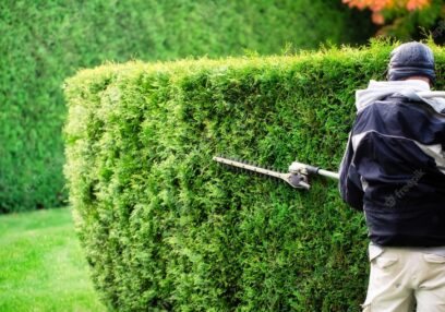Hedge Trimming Melbourne