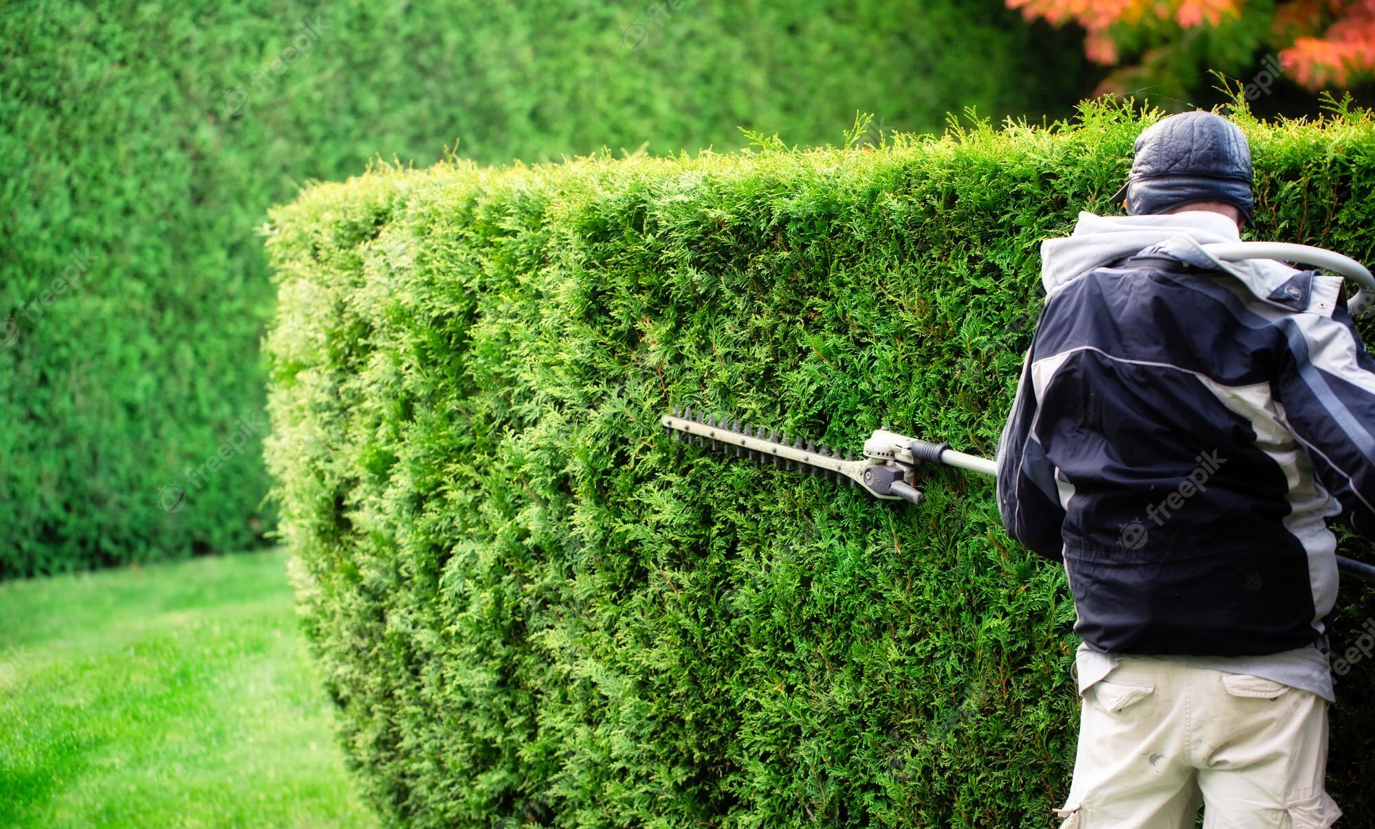 Hedge Trimming Melbourne