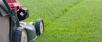 lawn mowing Balwyn
