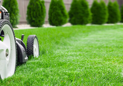 commercial lawn care Dandenong