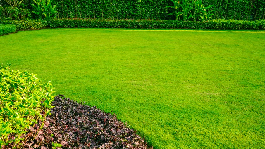 instant turf Dandenong