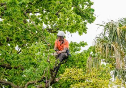 Melbourne tree services